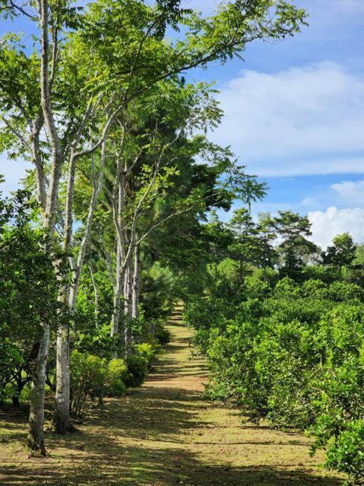 Hospedaje Finca Agroturistica Dona Rufa Rio Sereno Екстериор снимка