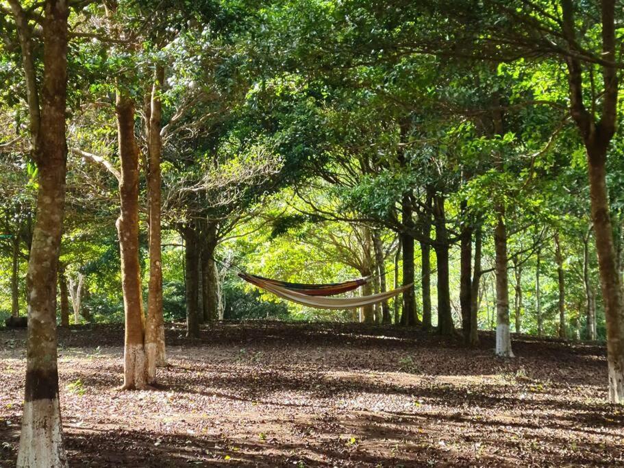 Hospedaje Finca Agroturistica Dona Rufa Rio Sereno Екстериор снимка