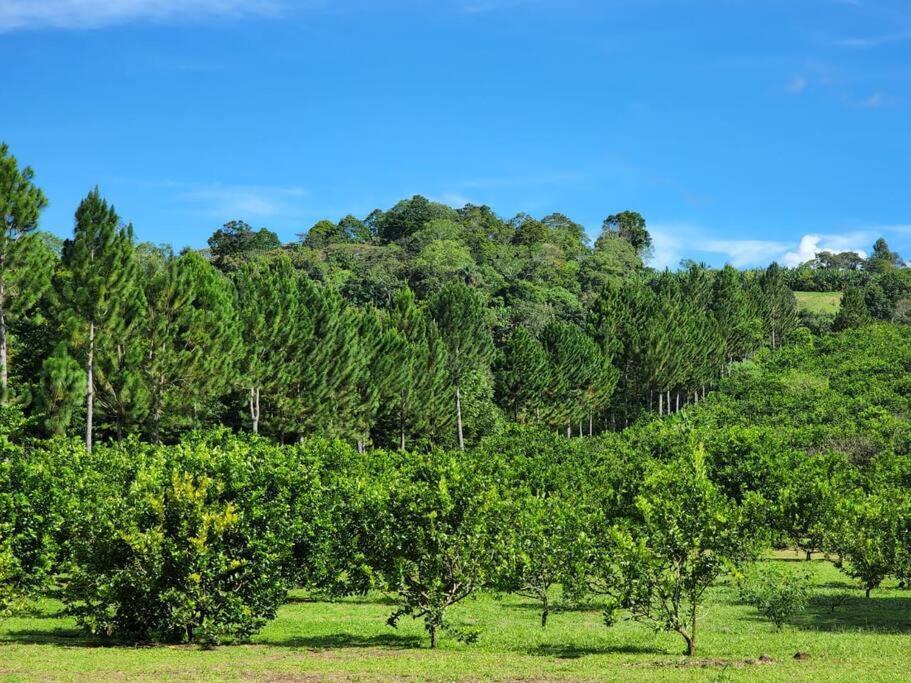 Hospedaje Finca Agroturistica Dona Rufa Rio Sereno Екстериор снимка