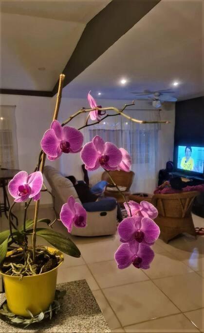 Hospedaje Finca Agroturistica Dona Rufa Rio Sereno Екстериор снимка