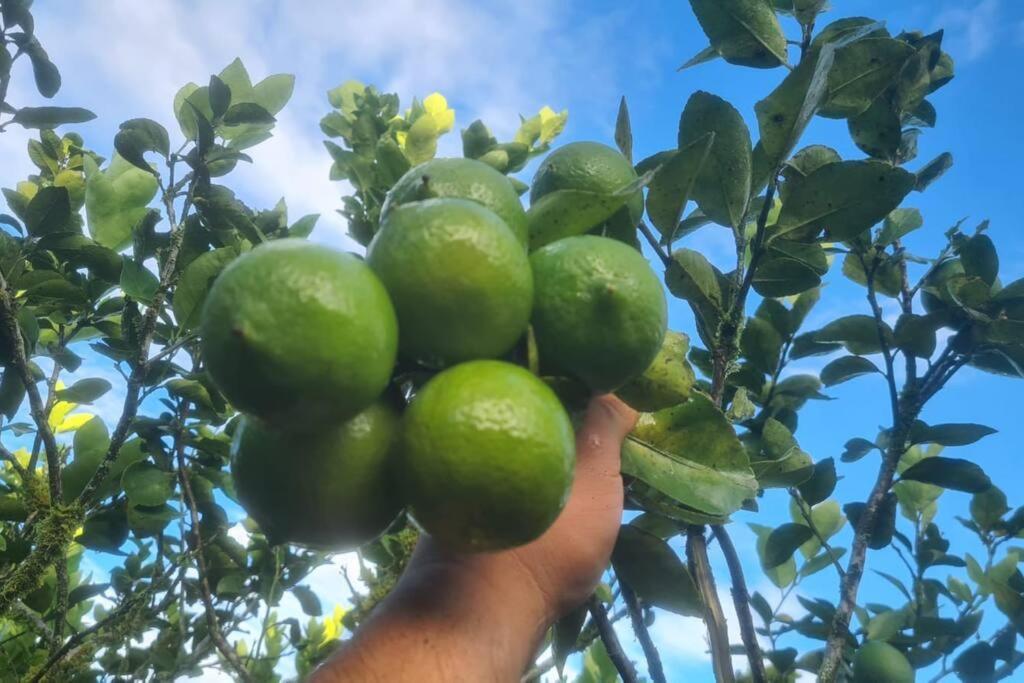 Hospedaje Finca Agroturistica Dona Rufa Rio Sereno Екстериор снимка