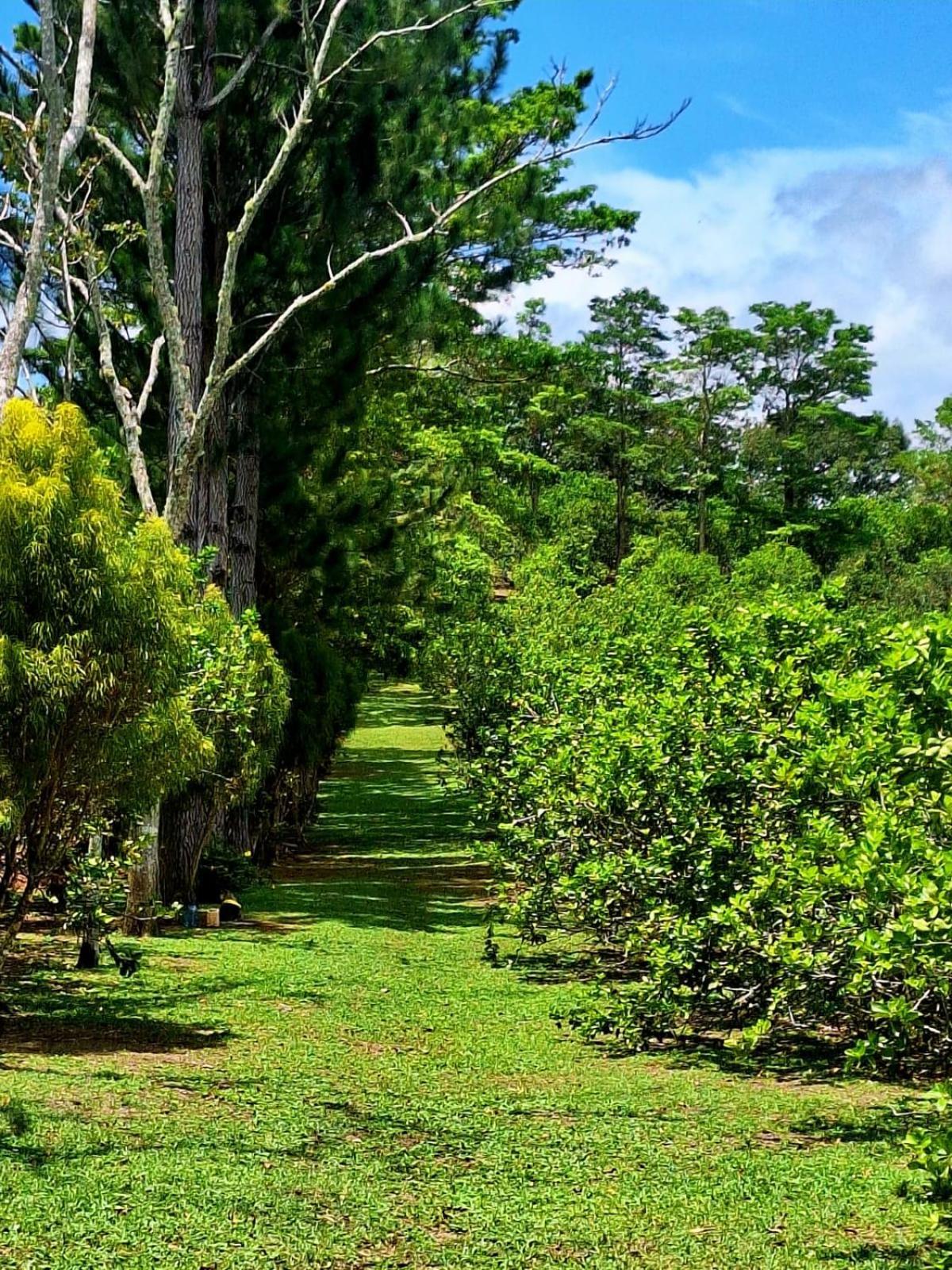 Hospedaje Finca Agroturistica Dona Rufa Rio Sereno Стая снимка